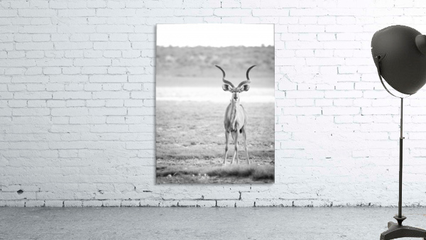 AdriaanPrinsloo 6071 Wall Preview
