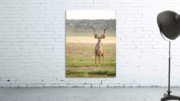 AdriaanPrinsloo 6071 2 Wall Preview