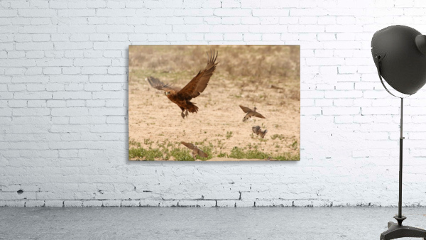 AdriaanPrinsloo 7140 2 Wall Preview