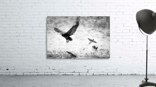 AdriaanPrinsloo 7140 Wall Preview