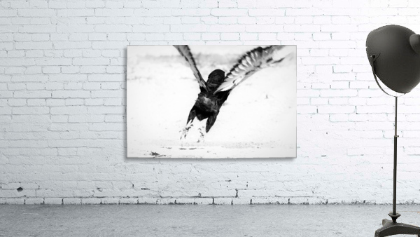 AdriaanPrinsloo 7176 Wall Preview