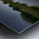 IMG 8555 Metal print