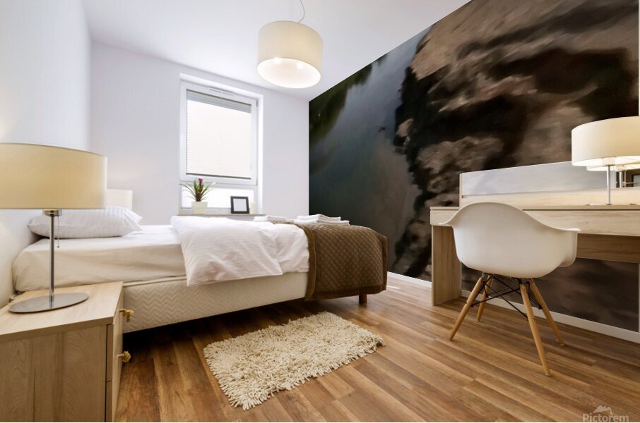 IMG 8555 Mural print