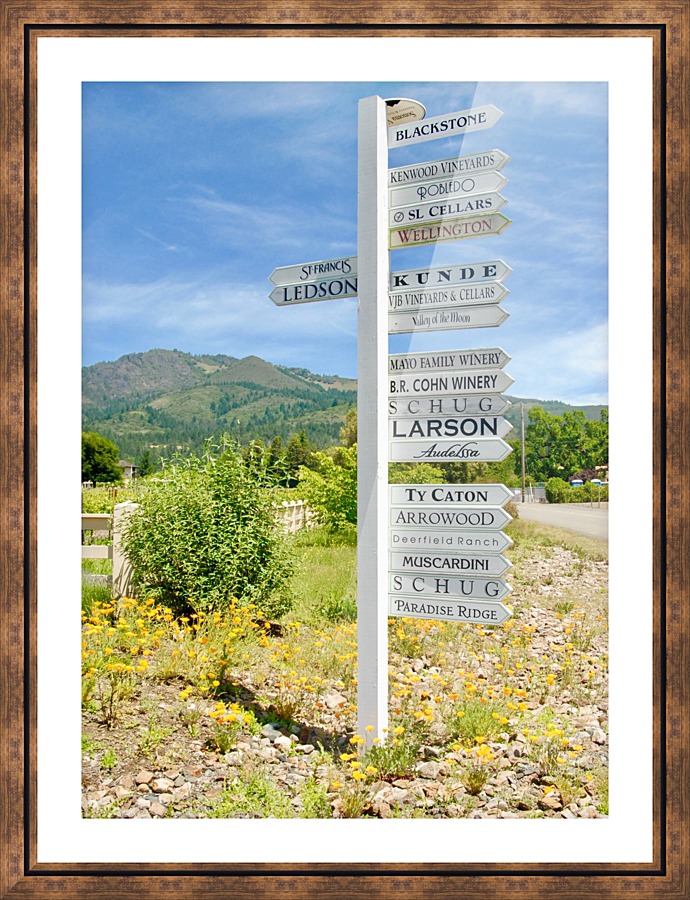 Winery Signs Picture Frame print