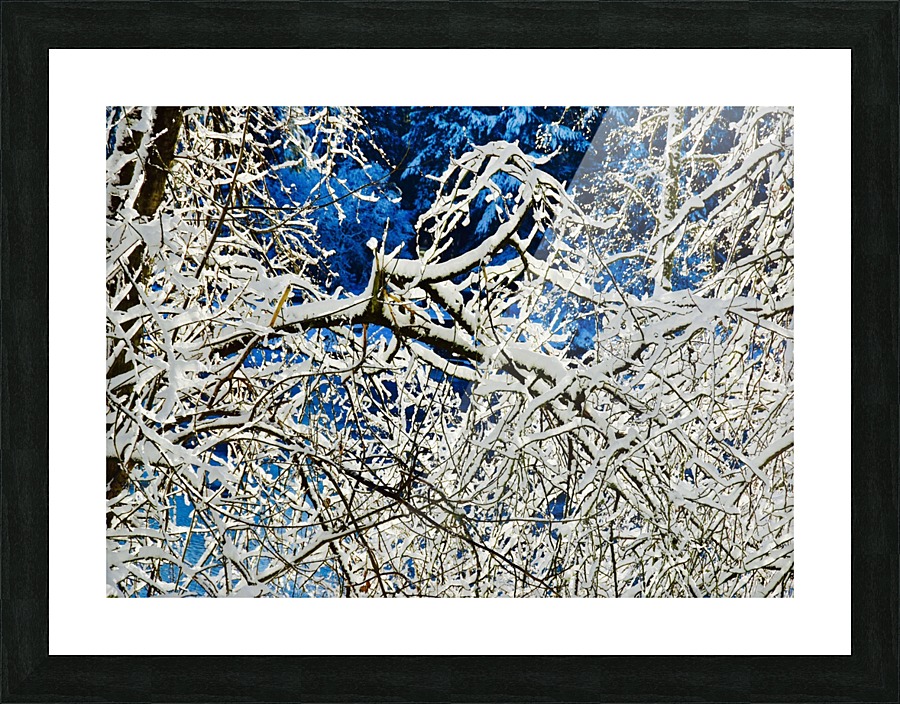  Snow On The Tree Picture Frame print