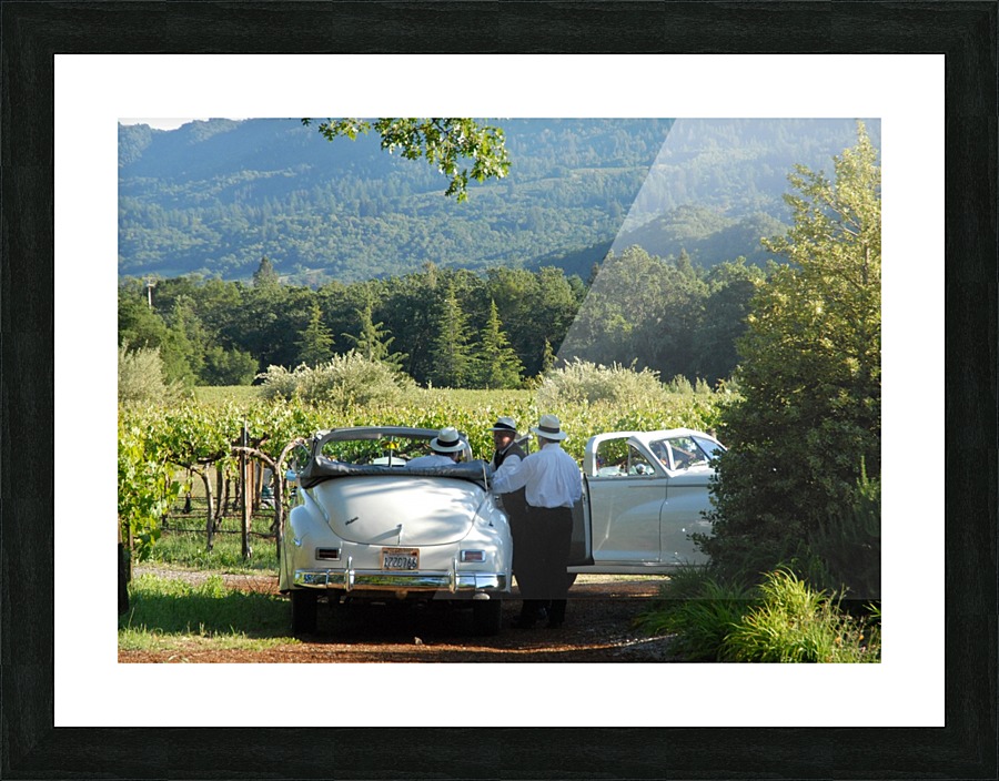 Packards In The Vineyard Picture Frame print