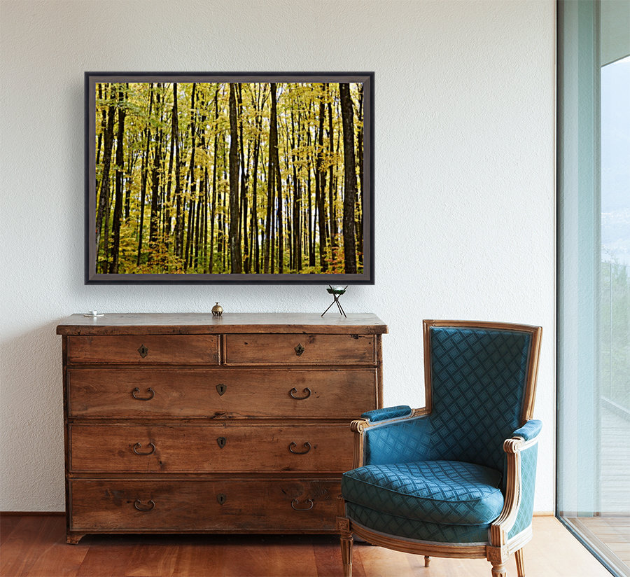Smith Road Trees Reproduction