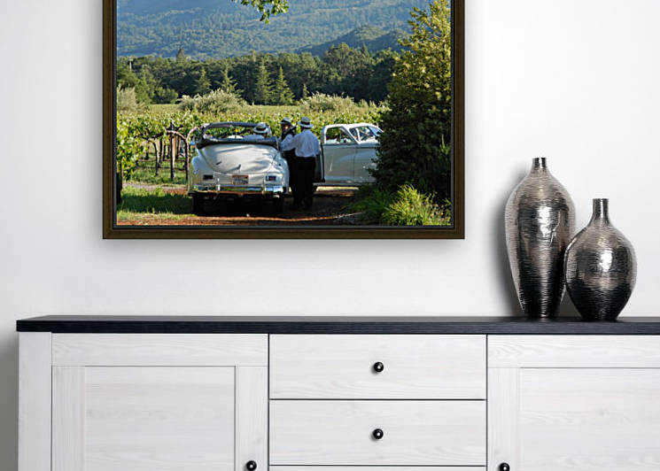 Packards In The Vineyard by Robin Buckley