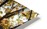  Willamette River HD Metal print