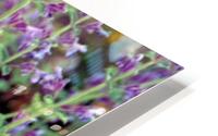 Wildflowers HD Metal print