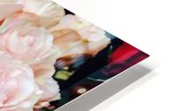  Pink Rose  HD Metal print