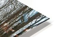 Smith Lake Road HD Metal print