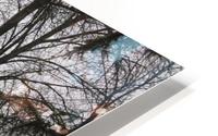 Willamette River View  HD Metal print