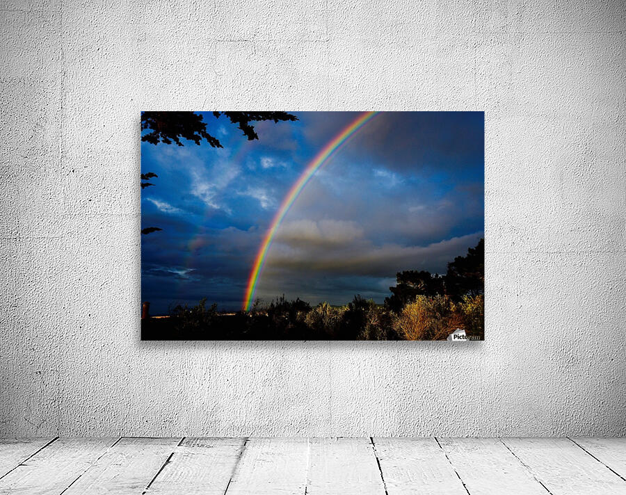 Rainbow in Monterey  Wall Preview