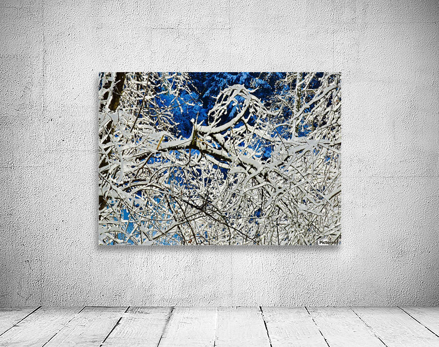 Snow On The Tree Wall Preview