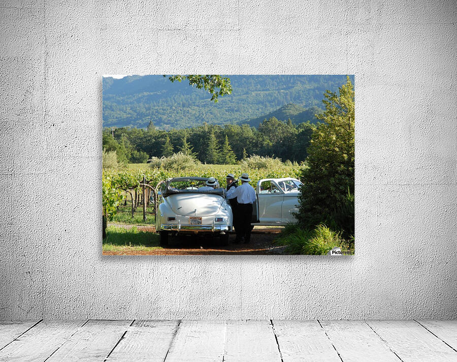 Packards In The Vineyard Wall Preview