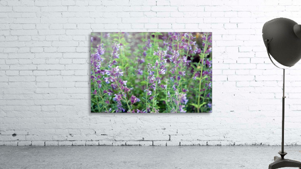 Wildflowers Wall Preview