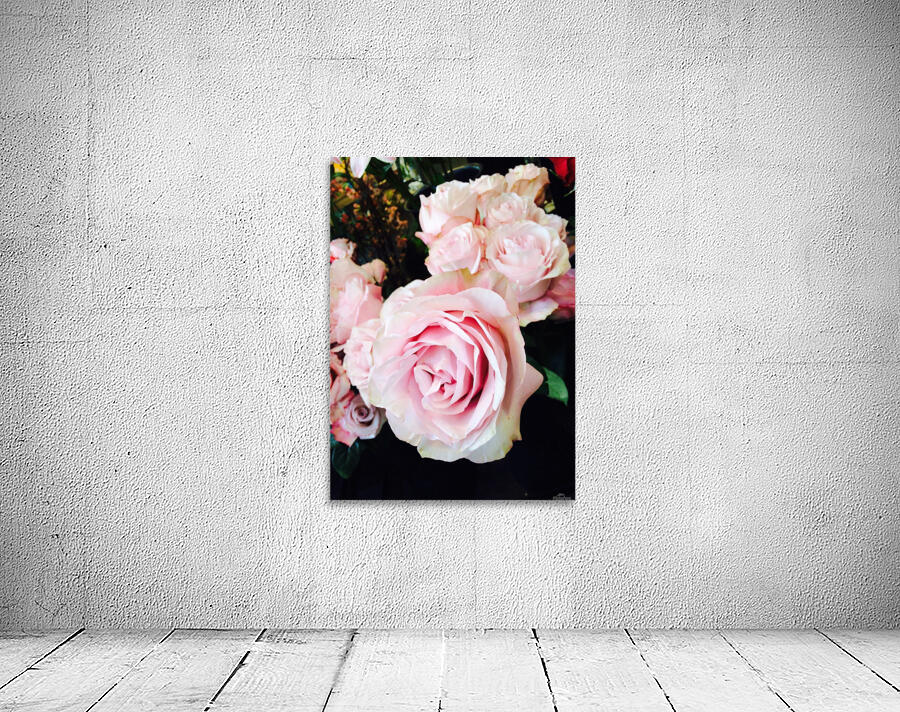  Pink Rose  Wall Preview