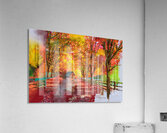 The Path Home Acrylic Print