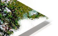 118 Park Ave HD Metal print