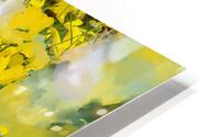 Threadleaf Coreopsis02 HD Metal print