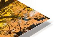 Golden Canopy HD Metal print