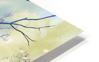 Branches in Winter -07 HD Metal print