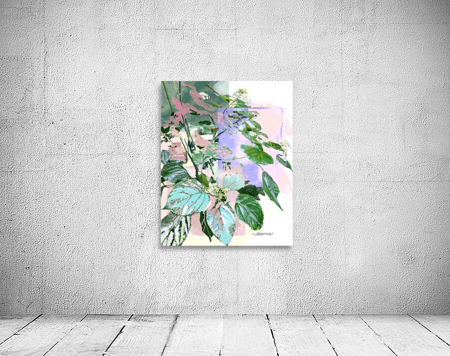 Lace-Cap Hydrangea Wall Preview