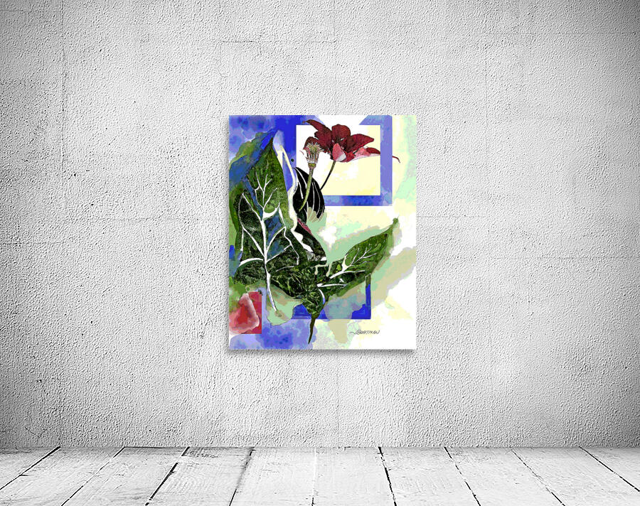 Clematis Niobe Wall Preview