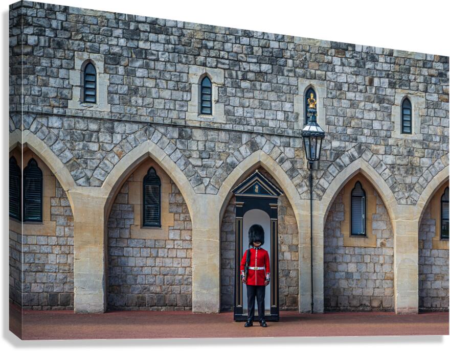 Royal Guard Canvas Print