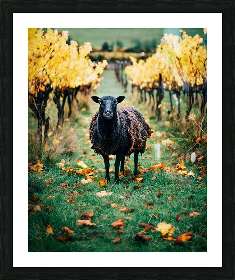 Amber  Picture Frame print