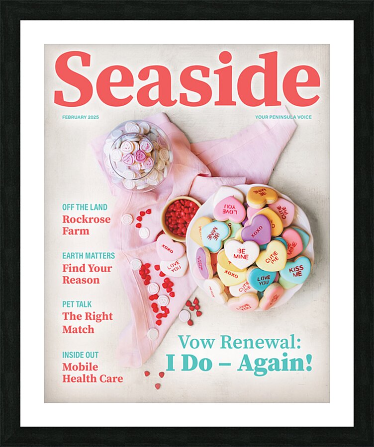 Seaside0225cover Picture Frame print