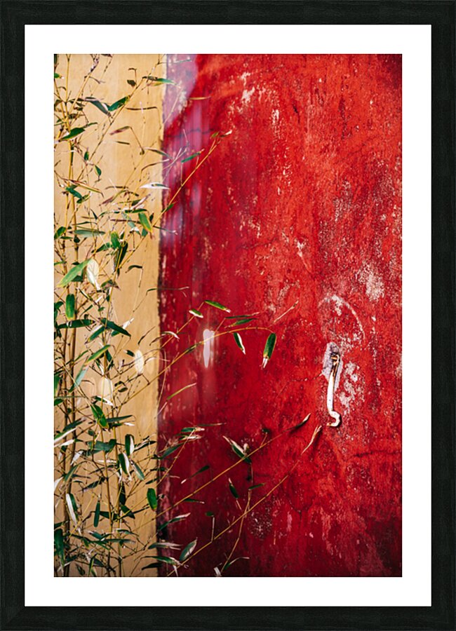 Bamboo Red Wall Picture Frame print