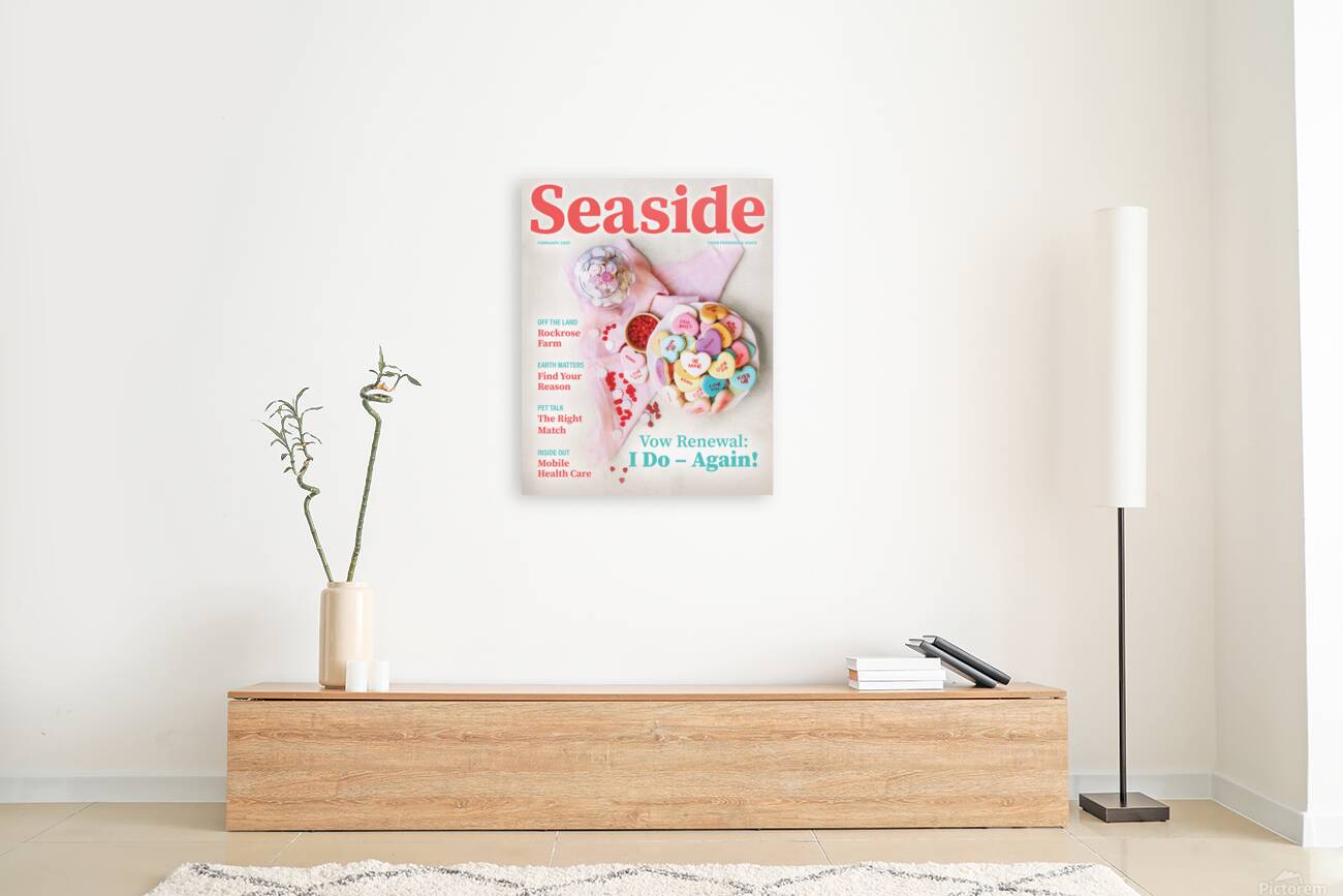 Seaside0225cover Reproduction