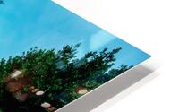 Ascent HD Metal print