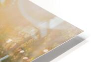 Brea HD Metal print