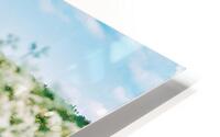 Stonehenge Bloom HD Metal print