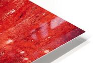 Bamboo Red Wall HD Metal print