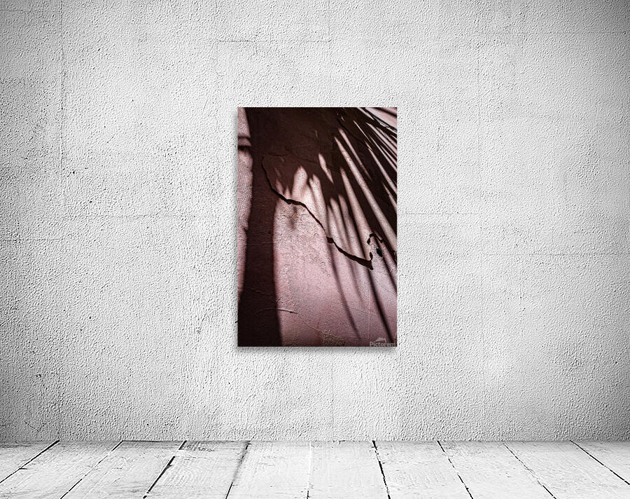 Where shadows bloom Wall Preview