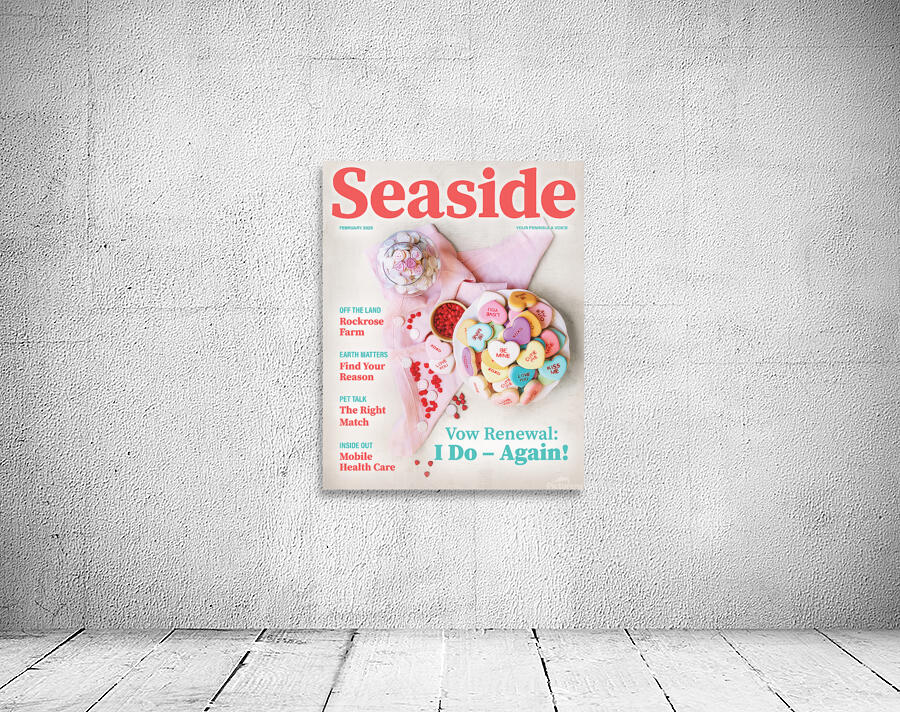 Seaside0225cover Wall Preview