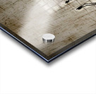 Picsart 24 03 22 22 18 29 995 Acrylic print