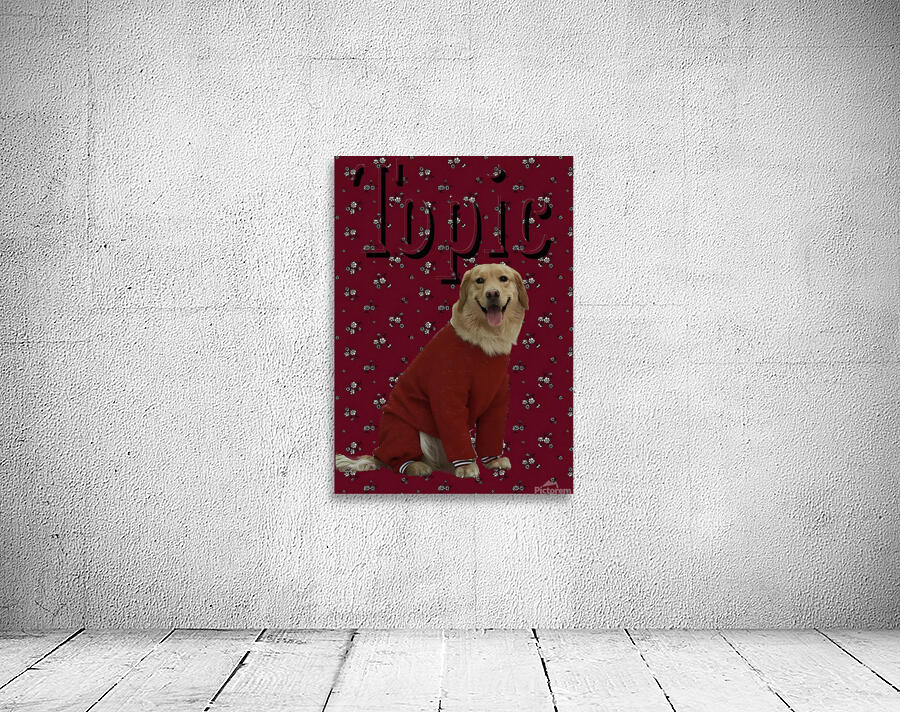 snapedit 1711033213101 Wall Preview