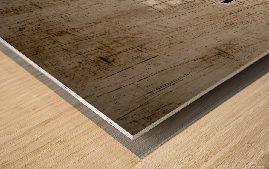 Picsart 24 03 22 22 18 29 995 Wood print