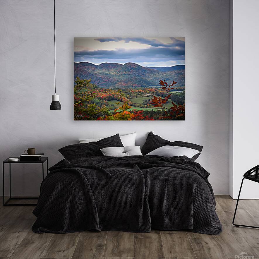 Laurentian View Reproduction