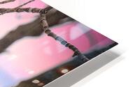 Peek a Boo HD Metal print