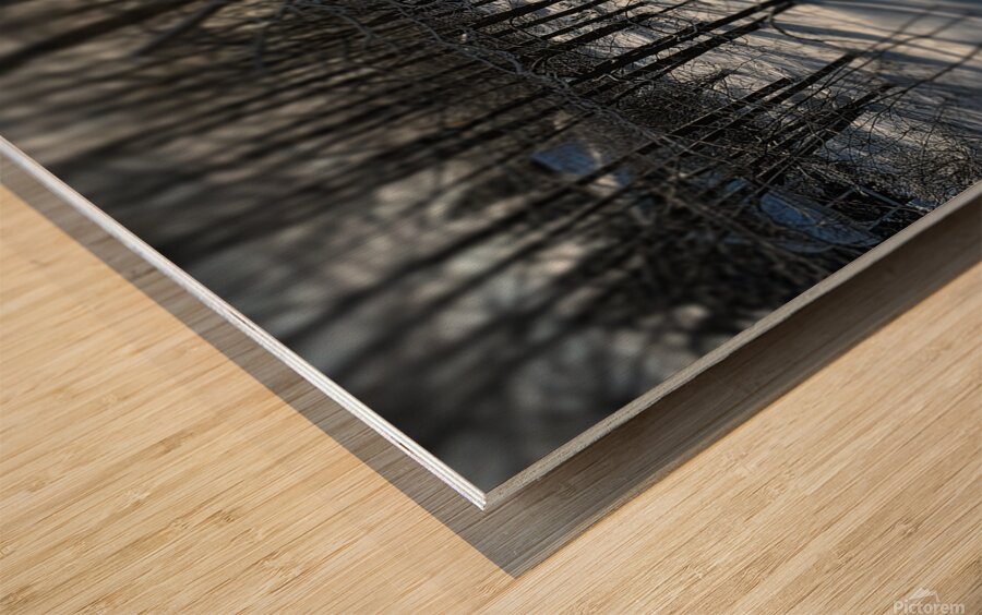 Saint-Anne-des-Lacs Wood print