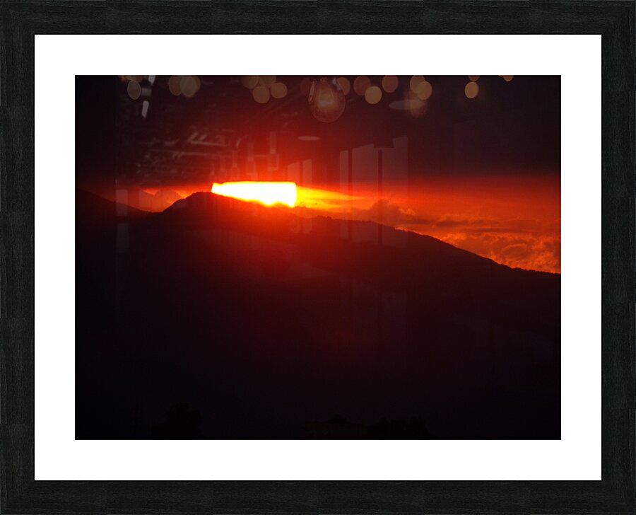 Rosas Picture Frame print