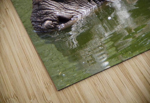 rhino Tof puzzle