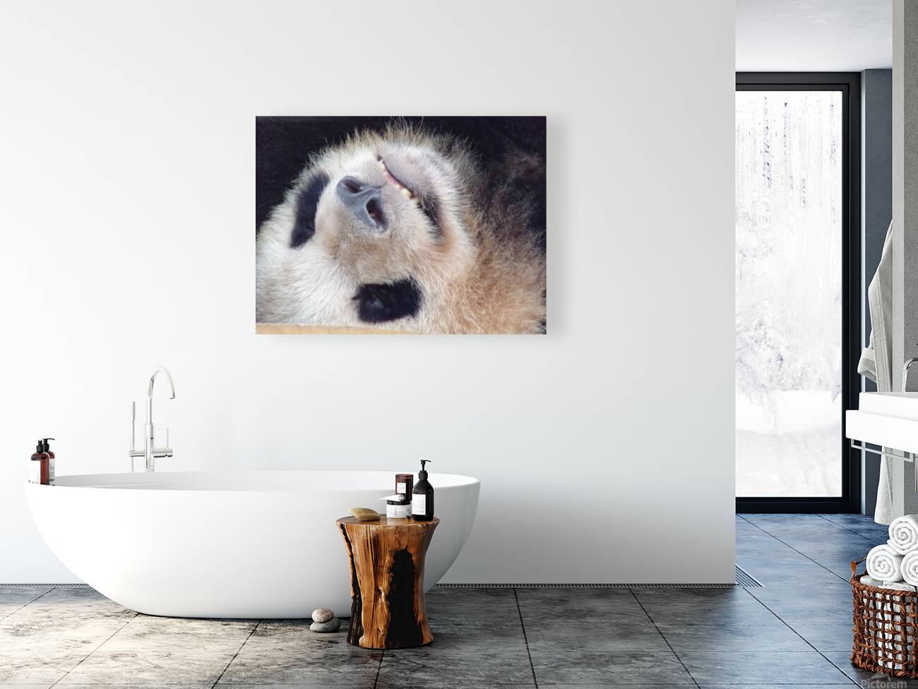 panda Reproduction