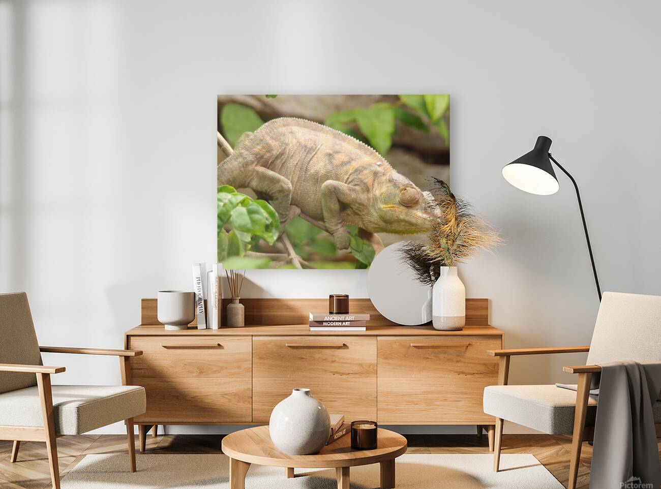 cameleon Reproduction